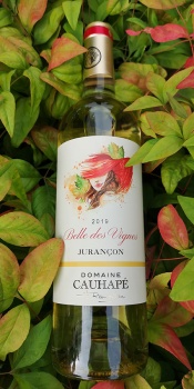 Belle des Vignes - Domaine Cauhapé